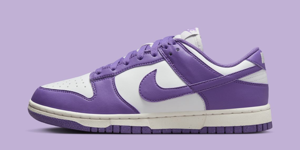 Nike Dunk Low Next Nature Black Raspberry DD1873-108