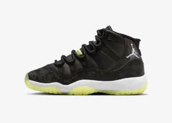 Air Jordan 11 Retro Dark Raisin IB1378-001 2025 Release Date
